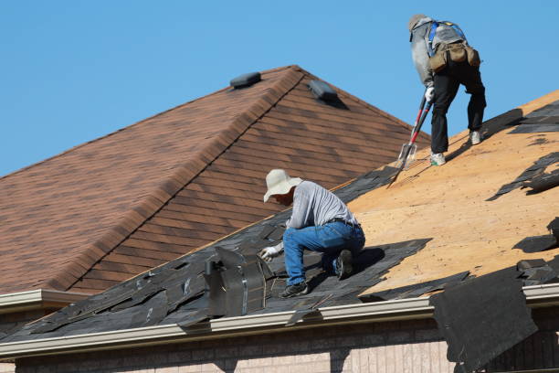 Best Roof Installation  in Kalispell, MT